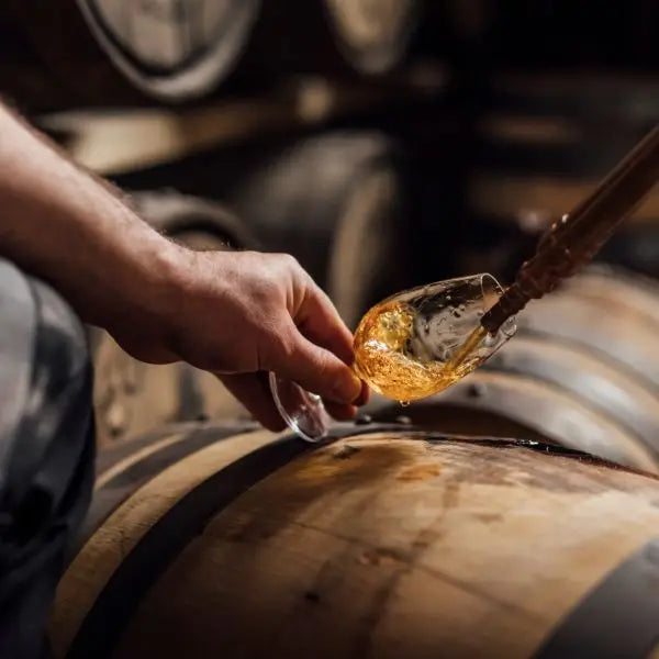 Irish Whiskey wird direkt aus dem Fass in ein Glas gezapft – traditionelle Whiskeyverkostung in der Distillery